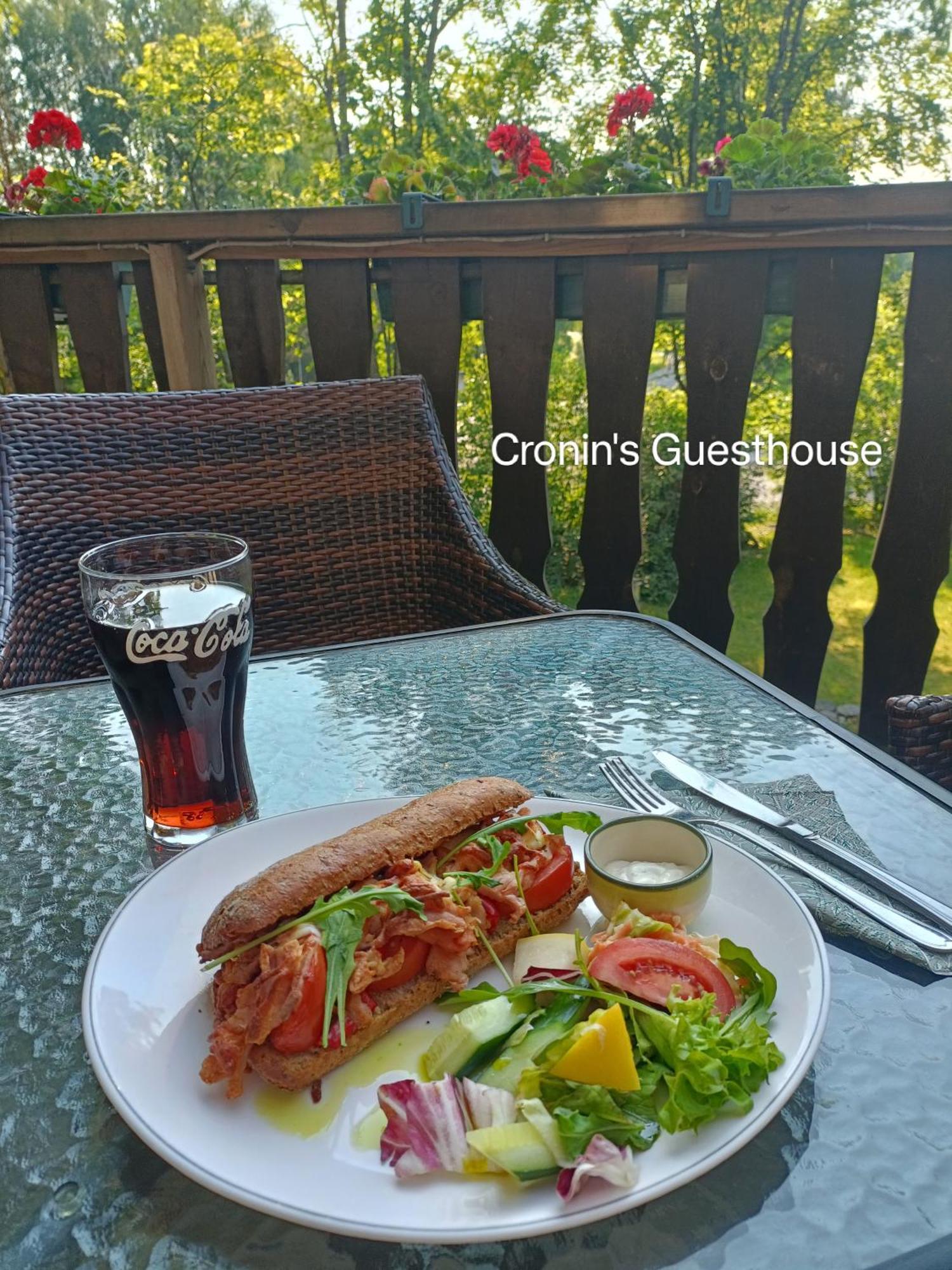 Cronin'S Guesthouse Bed & Breakfast Heinola Luaran gambar